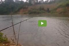 Ψάρεμα: Με αυτόν τον τρόπο βγάζουν 10 ψαρούκλες την ώρα [video]