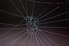 26 Ιουνίου: Παγκόσμια Ημέρα κατά των Ναρκωτικών – Εξαρτήσεις στην εφηβεία και τρόποι αντιμετώπισης