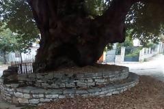 Απεριποίητο και ακαθάριστο το γραφικό παραθαλάσσιο ΛΟΥΤΡΑΚΙ Κατούνας (ΦΩΤΟ)