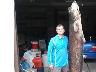 Φωτογραφία για Ψαράς από το Βελβεντό έβγαλε ψάρι 84 κιλών!