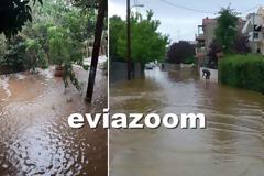 Βόρεια Εύβοια: «Βούλιαξε» το Πευκί από την κακοκαιρία! (ΦΩΤΟ)