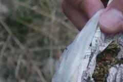 Αιτωλοακαρνανία: Κάνναβη από 13 ετών