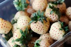 Ανανοφράουλες! Βγήκε καινούριο φρούτο;