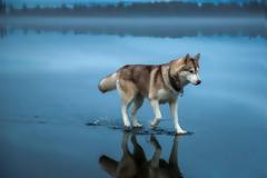 Θα σας μαγέψουν - Υπέροχες φυσικές φωτογραφίες χωρίς photoshop [photos]