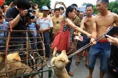 Τέρας κομπλεξικός Κινέζος! Δείτε τι κάνει στο σκυλάκι για να βγάζει περισσότερα χρήματα [video – ΣΟΚ]