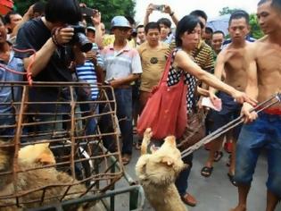 Φωτογραφία για Τέρας κομπλεξικός Κινέζος! Δείτε τι κάνει στο σκυλάκι για να βγάζει περισσότερα χρήματα [video – ΣΟΚ]