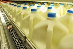 Επιστήμονας του Harvard: 