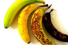 Σε περίπτωση που το είχατε απορία: Γιατί το όργανο των αντρών είναι πιο σκούρο από το υπόλοιπο δέρμα…