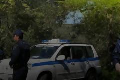 Το νησί της… κάνναβης – 30 φυτείες εντοπίστηκαν μόλις σ’ ένα μήνα