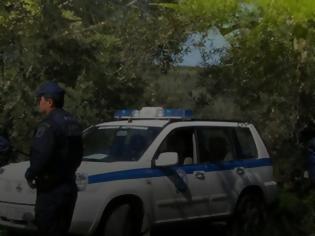 Φωτογραφία για Το νησί της… κάνναβης – 30 φυτείες εντοπίστηκαν μόλις σ’ ένα μήνα