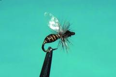 Πίσω γρήγορα...