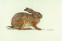 Από που προέρχεται η φράση 