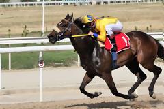 Οκτώ ιπποδρομίες σήμερα στον Ιππόδρομο Αθηνών