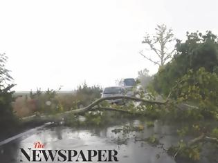 Φωτογραφία για Άγιο είχαν Βολιώτες οδηγοί - Έπεσε δέντρο στην Παλιά Εθνική Βόλου - Λάρισας