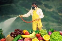 Αυτά είναι τα φρούτα και λαχανικά που έχουν τα περισσότερα φυτοφάρμακα