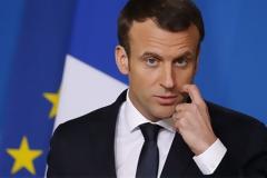 Διχάζει η πολιτική Μακρόν να αυξήσει τον πληθυσμό των σαρκοβόρων ζώων