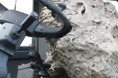 ΑΠΙΣΤΕΥΤΟ: Σφηκοφωλιά - Τέρας 