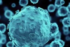 O έρπης ίσως σχετίζεται με τη νόσο Αλτσχάιμερ