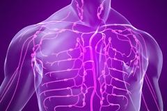 Πώς θα κάνετε αποτοξίνωση στο λεμφικό σας σύστημα