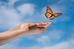 Πρόσεξε τι κάνεις γιατί για αυτά θα μετανιώσεις λίγο πριν φύγεις από την ζωή... Όπως και εκείνοι