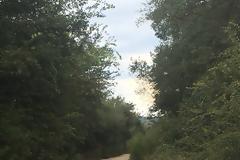 Ο Κάμπος της Κατούνας μαραζώνει απο την εγκατάλειψη… -(ΦΩΤΟ)