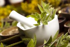 Ουρικό οξύ: Τα βότανα που το διαλύουν