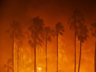 Φωτογραφία για Kύπρος: Κάηκαν 200 φοινικόδεντρα – Ο απολογισμός της πυρκαγιάς στο Τραχώνι