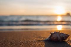 Καιρός - Καλλιάνος: Θερμή εισβολή διαρκείας - Πού θα φτάσει η θερμοκρασία