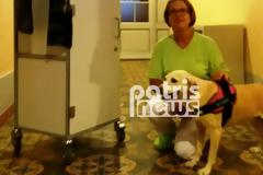 Πρώην αδέσποτο στον Πύργο έγινε σκύλος θεραπείας στην Ελβετία!