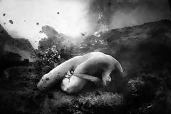 Μαντζίκος Κωνσταντίνος: Μοναξιά