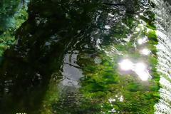 Πού πέφτει κάποιος, όταν πέφτει στη Λούμπα;