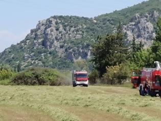 Φωτογραφία για Βόνιτσα: Η άμεση επέμβαση της πυροσβεστικής πρόλαβε την εξάπλωση της Φωτιάς