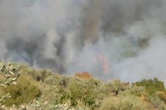 Τώρα: Φωτιά κοντά στο αρχαίο θέατρο Οινιάδων