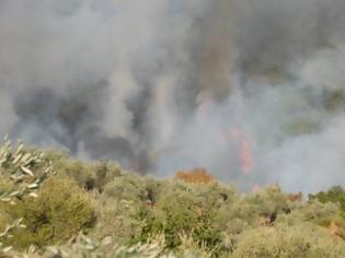 Φωτογραφία για Τώρα: Φωτιά κοντά στο αρχαίο θέατρο Οινιάδων