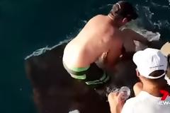 Τουρίστρια πάει να ταϊσει καρχαρία και εκείνος την αρπάζει από το δάχτυλο και την παρασύρει! [video]