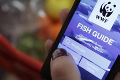 Fish Guide: Καταναλωτές και σεφ μαθαίνουν για τα απαγορευμένα θαλασσινά