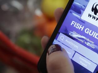 Φωτογραφία για Fish Guide: Καταναλωτές και σεφ μαθαίνουν για τα απαγορευμένα θαλασσινά