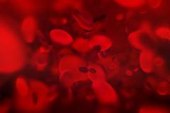 Ποιες τροφές βελτιώνουν τη ροή του αίματος;