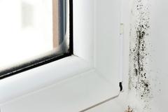 Δείξε την έξοδο στη μούχλα από το σπίτι σου με πέντε έξυπνα tips!