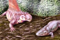 Τα ζώα πράγματι προαισθάνονται τους σεισμούς