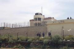 Άγριο ξύλο μέσα στις φυλακές Αλικαρνασσού