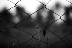 Βιοαφήγηση 16χρονου φυλακισμένου (ναρκωτικά, ληστείες, απόπειρα βιασμού, παράνομη οπλοκατοχή…)