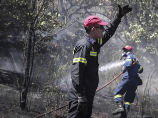 Φωτογραφία για Υπό μερικό έλεγχο η φωτιά στη Κάρυστο - Δεν απειλεί κατοικημένες περιοχές!