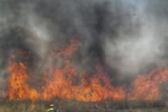 Μαίνεται το πύρινο μέτωπο στα Χανιά – Σηκώθηκε ελικόπτερο