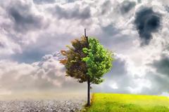 Ο ρόλος της δυστυχίας ~ Emmy van Deurzen