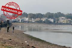 Χαλκίδα: Πνίγηκε λουόμενη στη Λιανή Άμμο  - Θρήνος για την Σταματία Παπαδοπούλου!