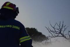 700 στρέμματα γης έκανε… στάχτη η φωτιά στα Χανιά