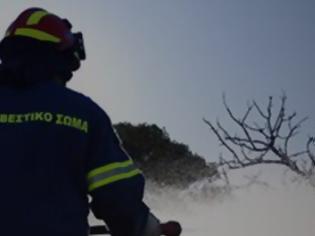 Φωτογραφία για 700 στρέμματα γης έκανε… στάχτη η φωτιά στα Χανιά
