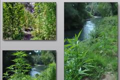 Ξαναέπιασαν 50χρονο για φυτεία κάνναβης