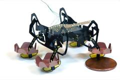 Ρομποτική κατσαρίδα για την εξερεύνηση των βυθών